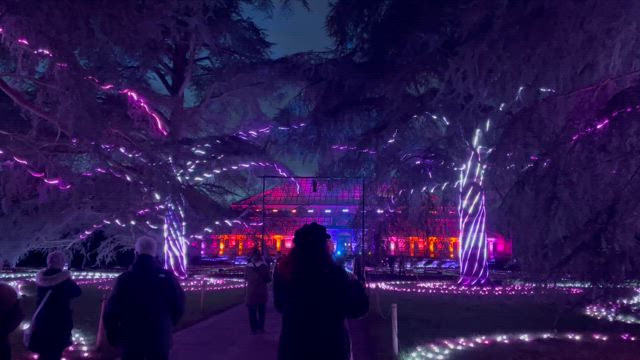 素敵なクリスマスat キューガーデンの記事動画