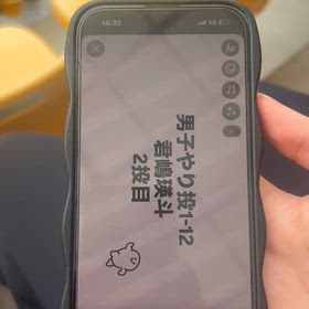 栃木県選13位の画像