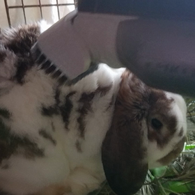 こっちもお掃除！！(゜ロ゜ノ)ノの画像