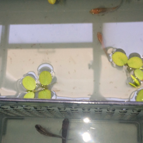 現在の様子ばかりです？の画像