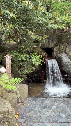 自力開運｜強くあたたかい氣の椿大神社の記事動画