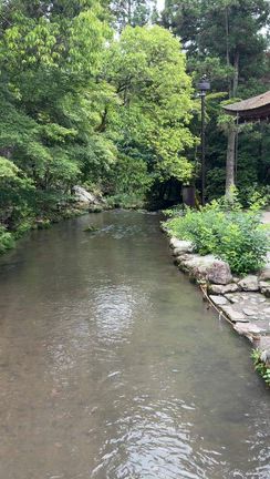自力開運塾｜卒業旅行は西の大吉の記事動画