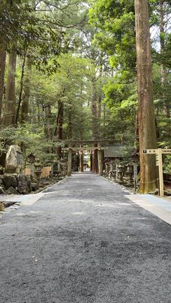 自力開運｜強くあたたかい氣の椿大神社の記事動画