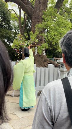 自力開運｜いい根、商売繁盛・財運向上の記事動画