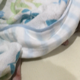かくれんぼ？？の画像