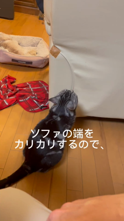 評価がなくて、凹む前に。の記事動画