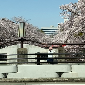 今　春の画像