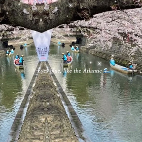 奥の細道結びの地　花見の画像