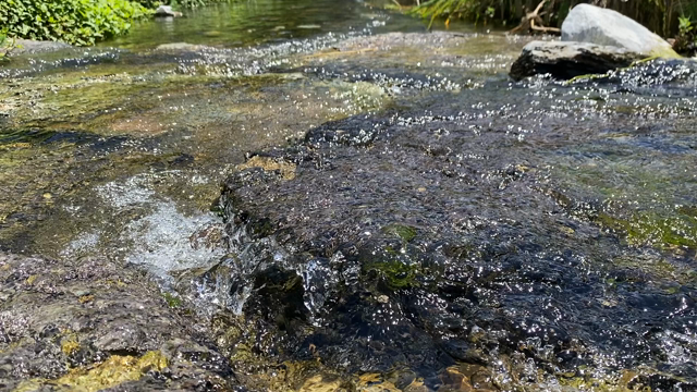 【夏おすすめ】水中カメラになるiPhoneの記事動画