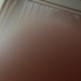 ガゼットの画像