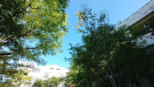 柏陵高校同窓会理事会を開催しました。の記事動画
