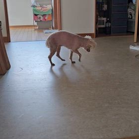今日のママさんの画像