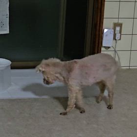 通じないもどかしさの画像