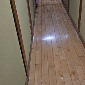 今日のママさんの画像