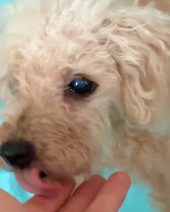 9歳❤︎の記事動画