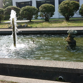 まあ、の画像