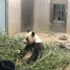 今日は寒い日でしたの画像