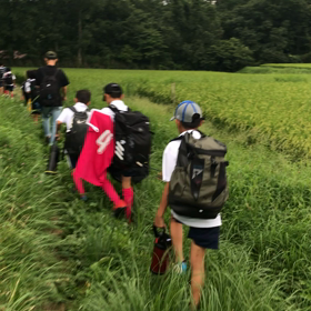 エルファ燕ジュニア草原を歩くの画像