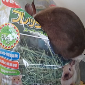 家のそら(=‘ｘ‘=)の画像