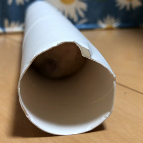 筒から..の画像