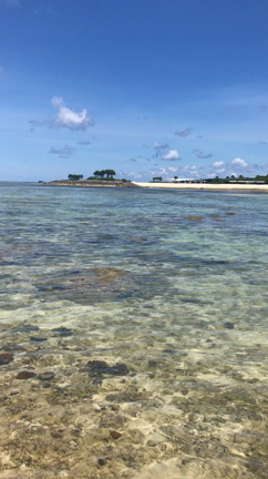 3日目〜美ら海水族館〜の記事動画
