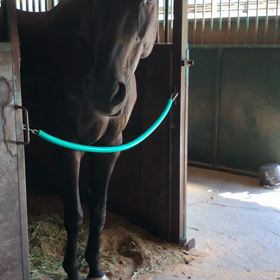 ついに夏本番の画像