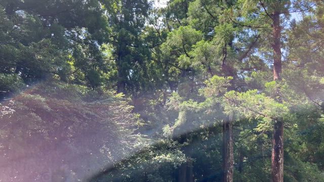 守護霊様が変わりました④最終形態の記事動画