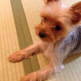 ウォーミングアップ？の画像