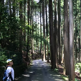 半年が終わったよ　今なにを思う？の画像