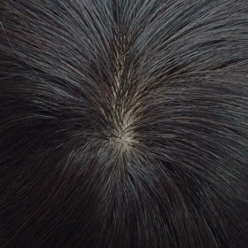 ヘアピースの画像