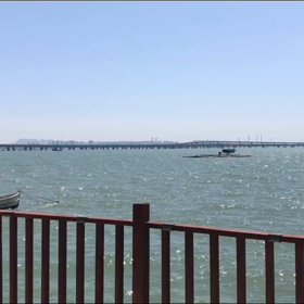 海の画像