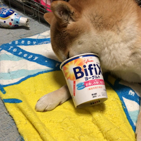 下手くそ。の画像