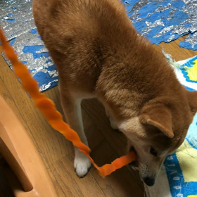 試食。の画像