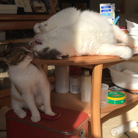 暴風。その２の画像
