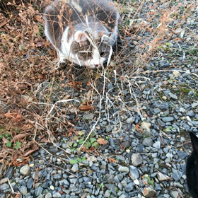 おともだち。の画像