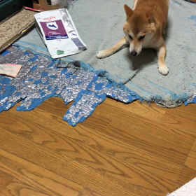 いじけた。の画像