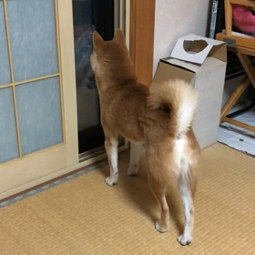 ドヤ顔❗️の画像