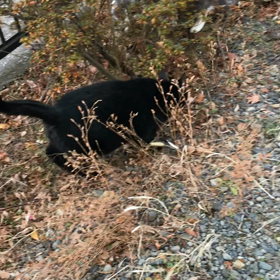 １２月7日   今朝の一悶着。の画像