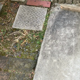 いつも通りの朝。の画像