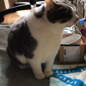 体はデカイのに。の画像