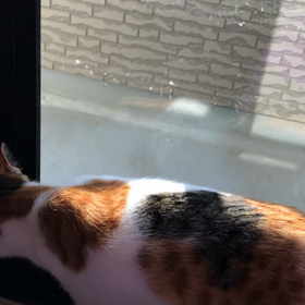 暴風。その3     試しにやってみた❗️の画像