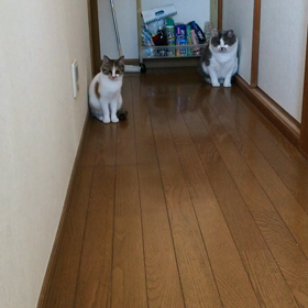 テンションが…。の画像