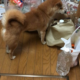 あーつまんない！の画像