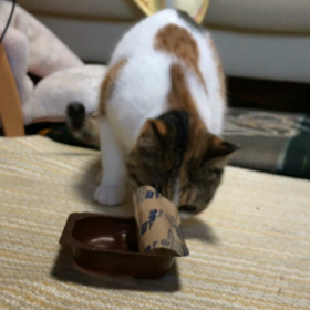 試してみる。の画像