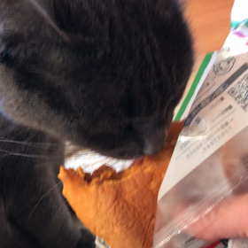 食べたがり。の画像