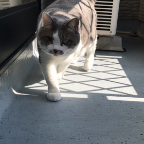 鼻息が凄っ！の画像