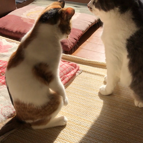 地味な攻防。の画像