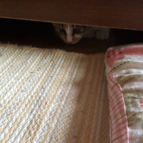 ひとり遊び。の画像