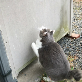 今朝の一悶着。続き。の画像