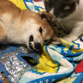 ヒーターの前。その２の画像